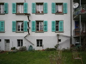 为了方便猫咪进出,瑞士的小区都装上了 猫梯