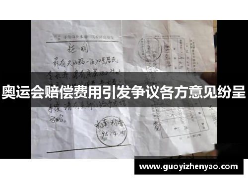 奥运会赔偿费用引发争议各方意见纷呈 奥运会赔偿费用引发争议各方意见纷呈