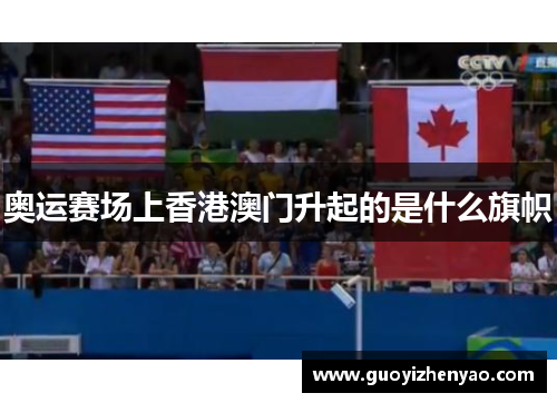 奥运赛场上香港澳门升起的是什么旗帜